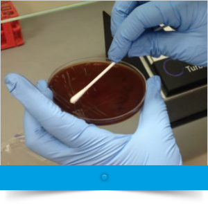 Lab Services